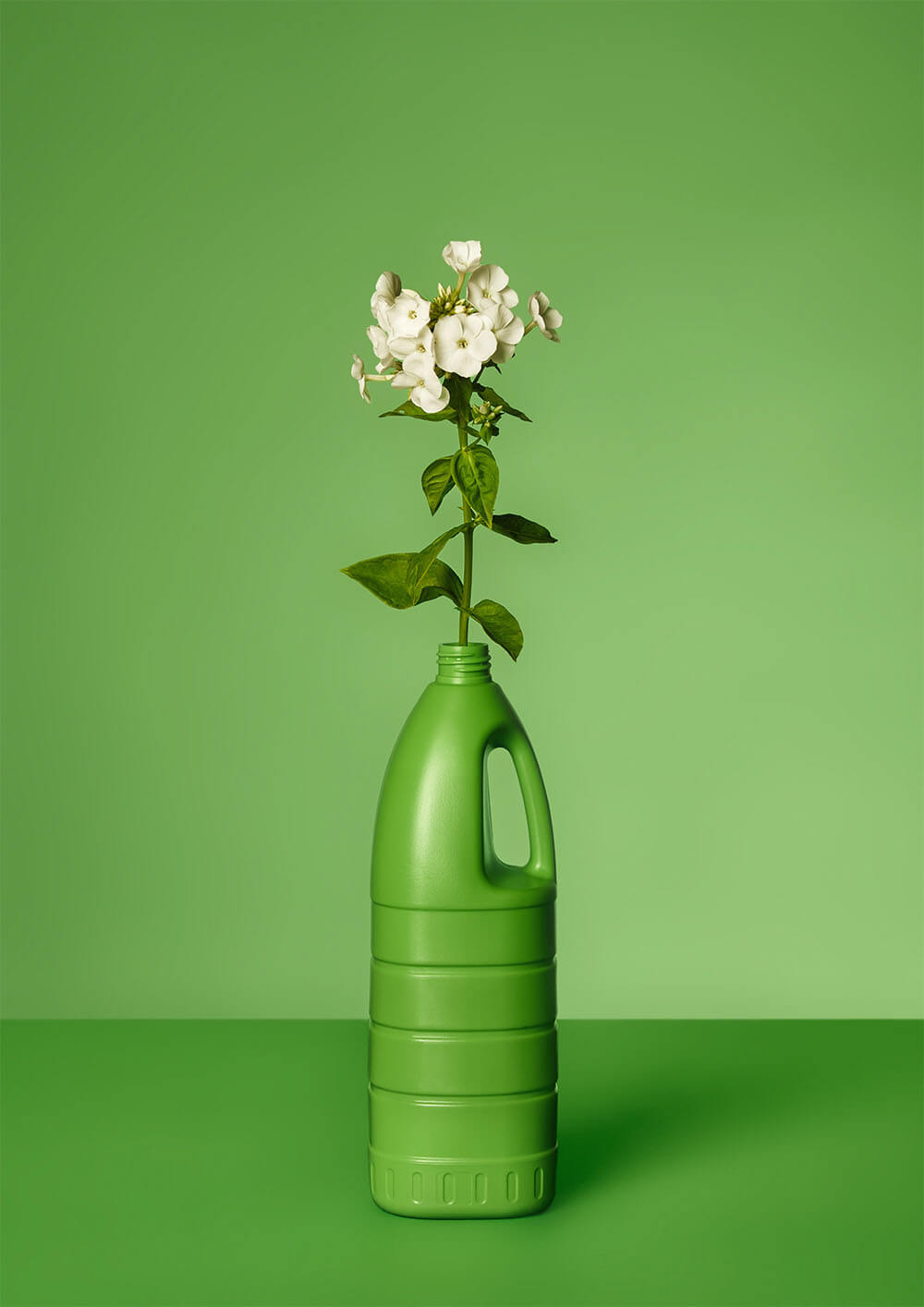 Vanessa Leissring - fotografia kwiatów wsadzonych do plastikowej butelki, zielona kolorystyka 